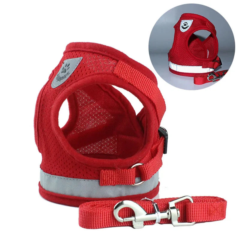 Tuigje voor hond Action met basic design – Praktisch en voordelig