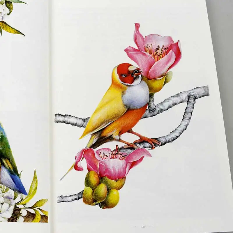 Volwassen kleurboek met dikke pagina’s – Geen doordrukken