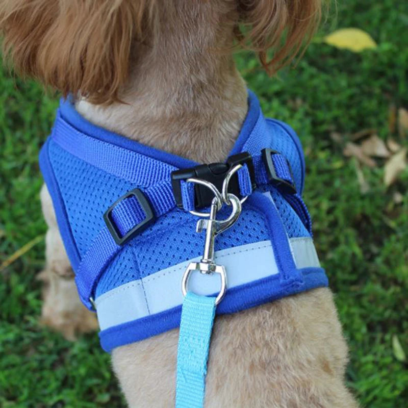 Action honden tuigje met kleuraccent – Leuk en opvallend