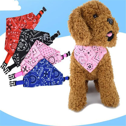 Verjaardag hond cadeaubox – Vier feest in stijl