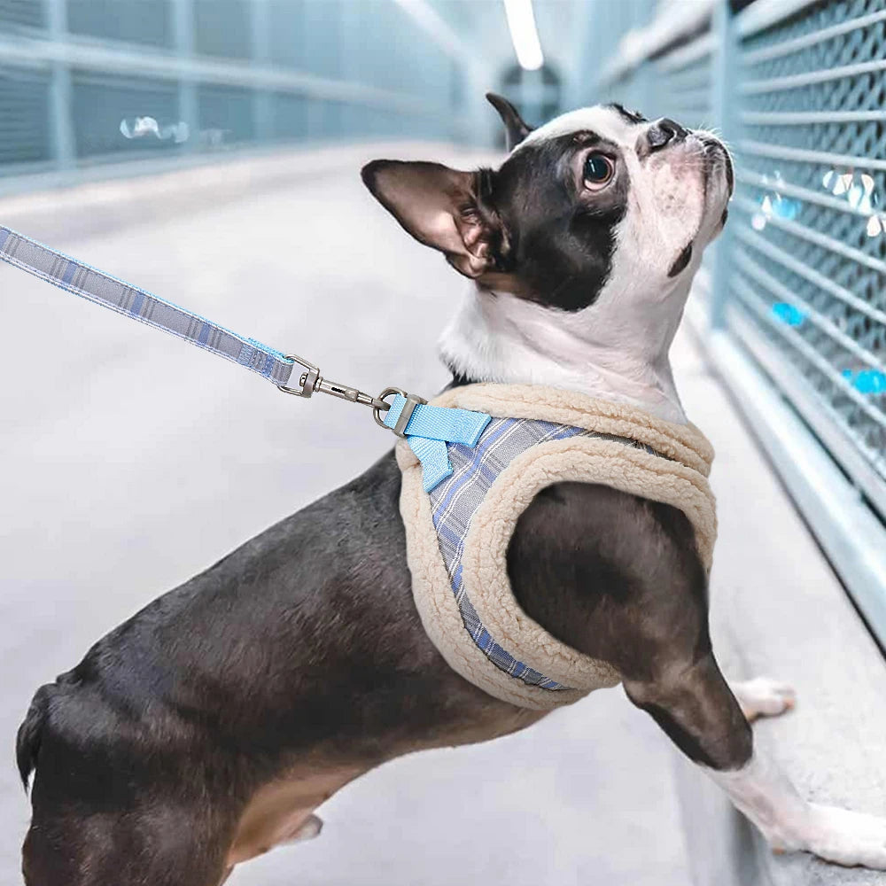 Comfort tuigje voor oudere honden – Zacht en ondersteunend
