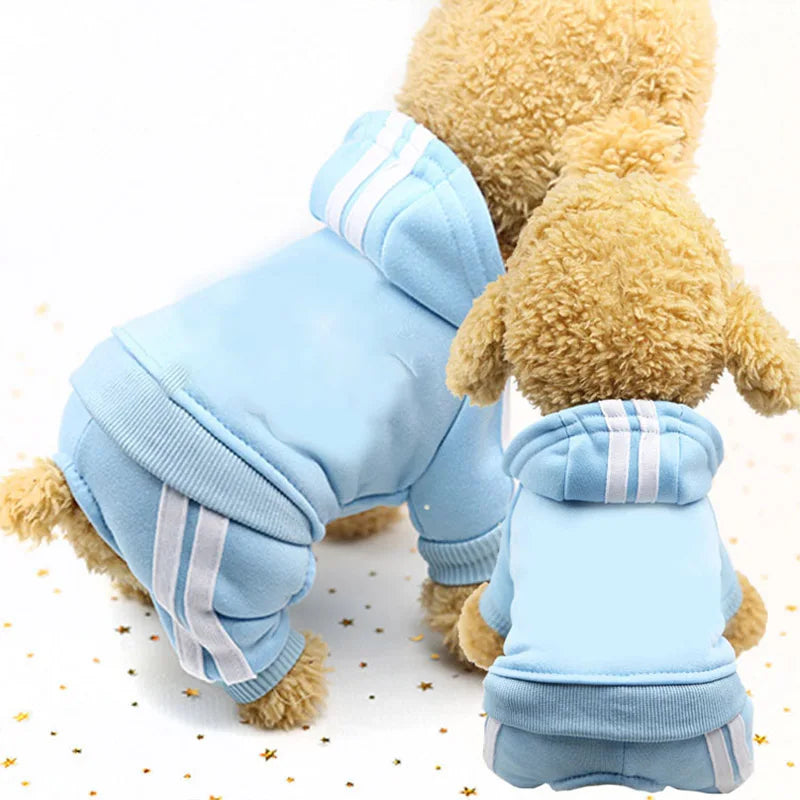 Cadeautje hond met kluif – Klassieker voor de feestdag