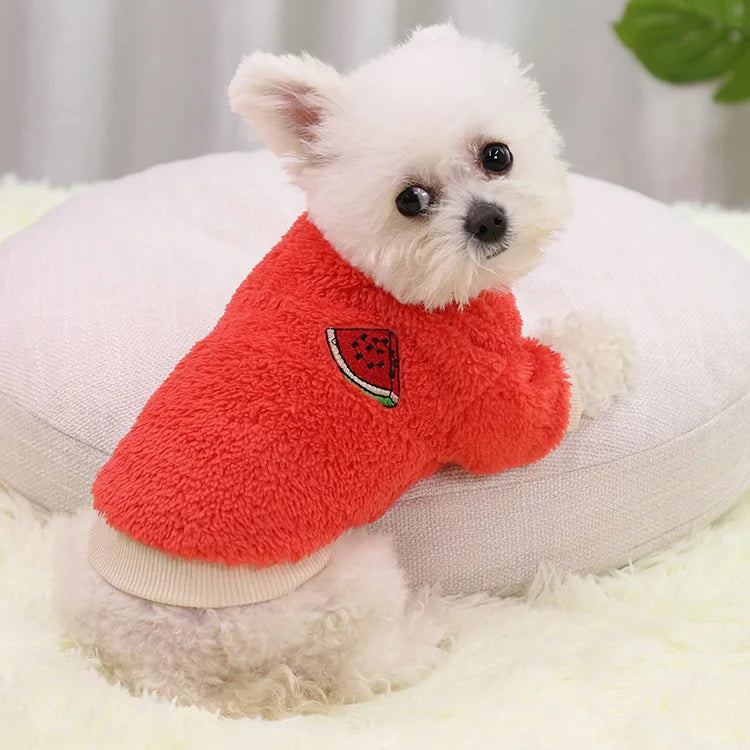 Cadeau hond met naam – Gepersonaliseerd en uniek