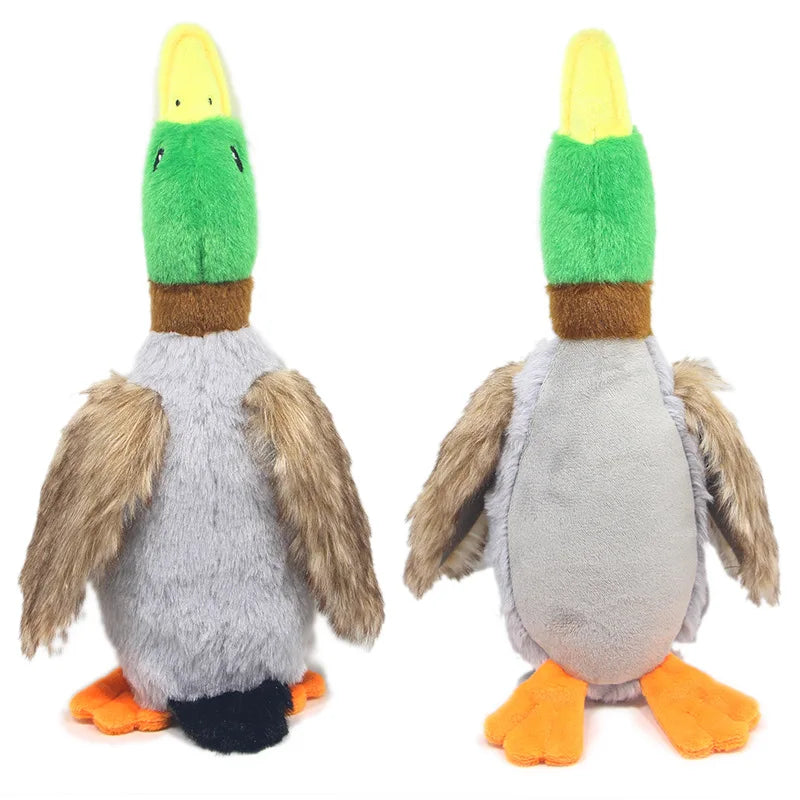 Cadeautje hond met kluif – Klassieker voor de feestdag