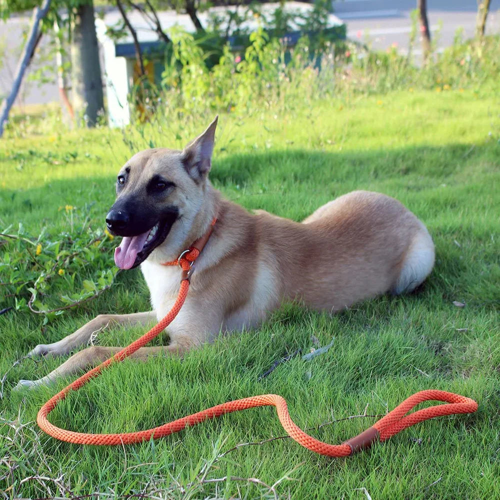 Tuigje met zachte padding – Voor gevoelige honden