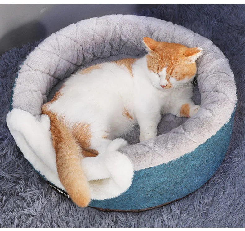 Budget kattenmand van Action – Simpel en effectief