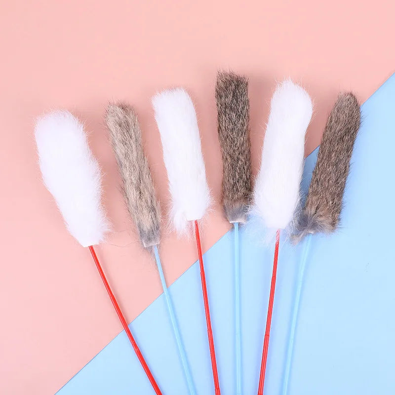 Speelbal voor katten – Rollend plezier