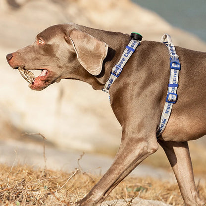 Verstelbaar tuigje voor honden – Past altijd perfect