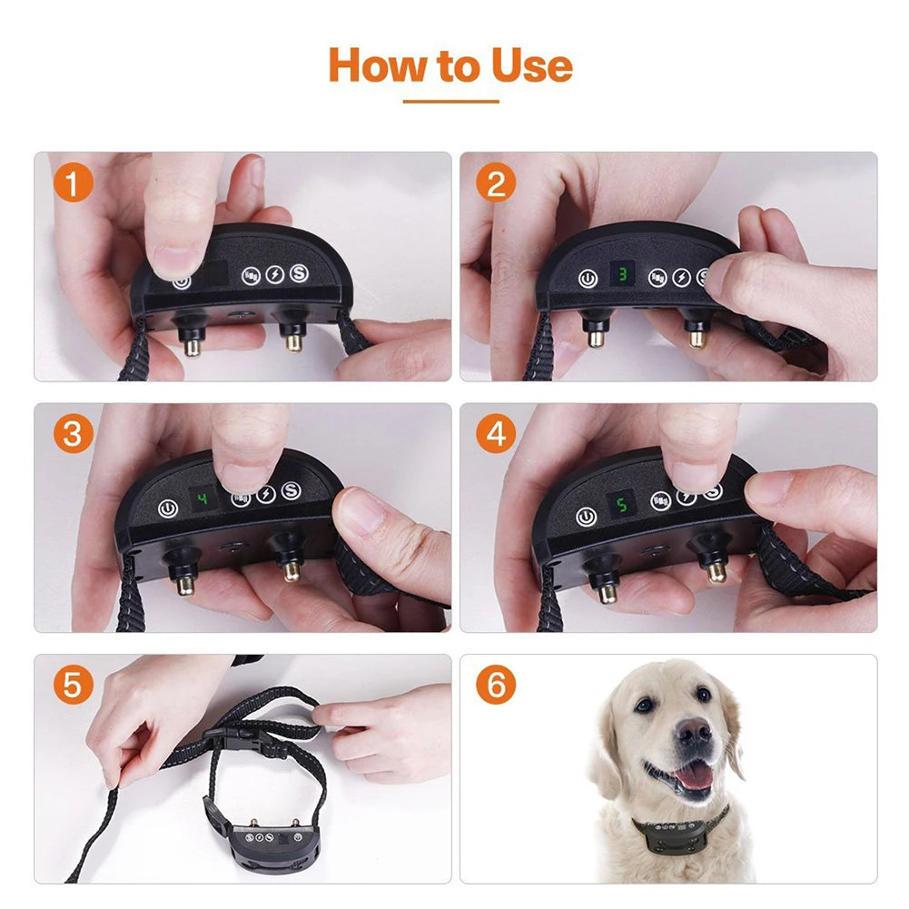 Cadeau voor honden en baasjes – Een dubbel plezier