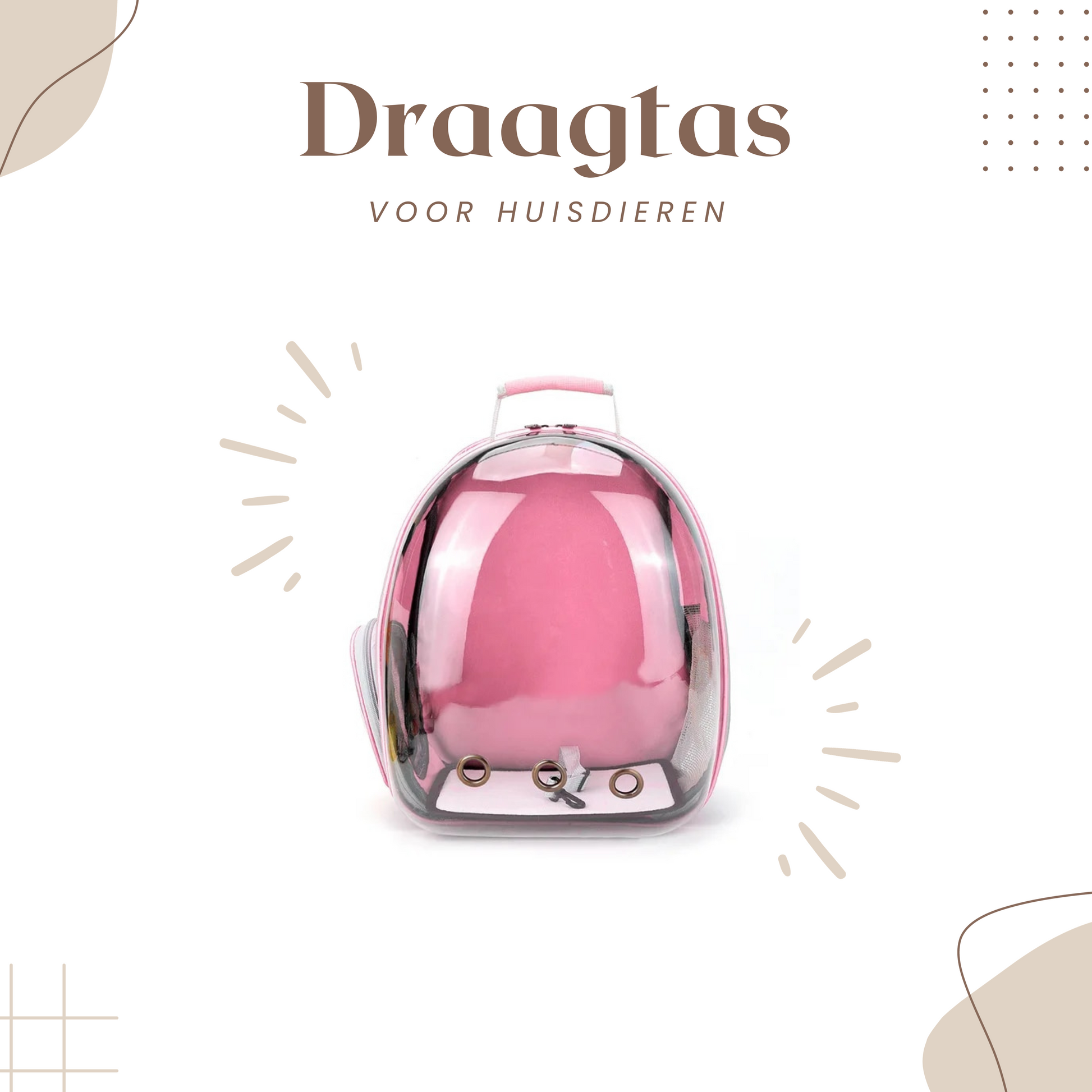 Kat-Draagtas