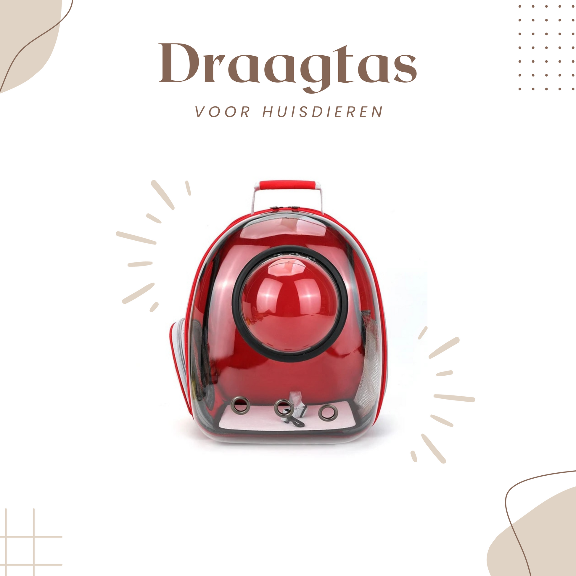  Kat-Draagtas