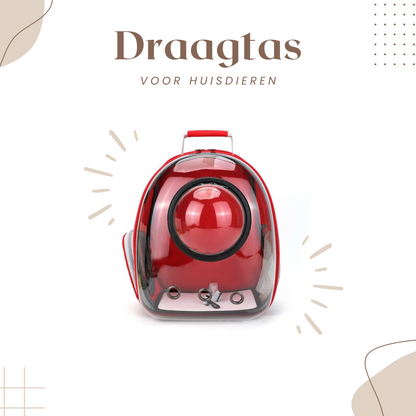  Kat-Draagtas