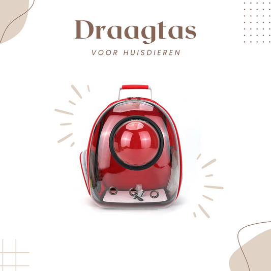  Kat-Draagtas