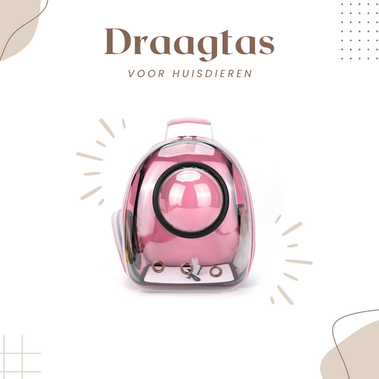 Kat-Draagtas