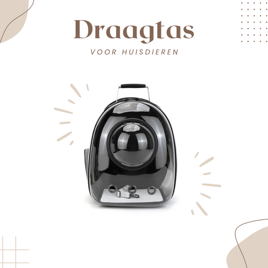 Kat-Draagtas