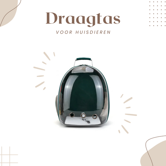  Kat-Draagtas