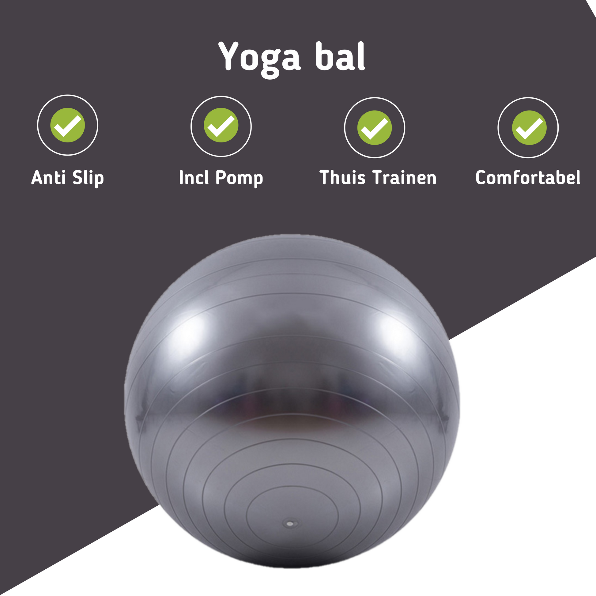 MOLOO-Fitness-Bal-Met-Gratis-Pomp-Grijs-Pilates-Bal-Yoga-Bal-Zwangerschapsbal