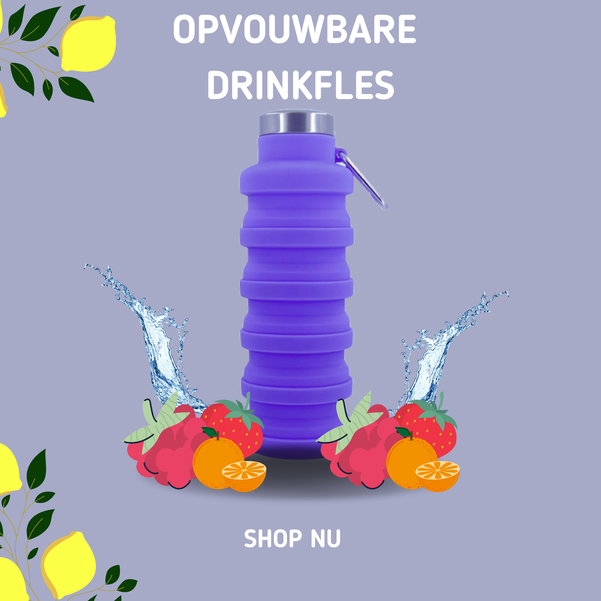 MOLOO-Opvouwbare-Drinkfles-Paars-Waterfles-500-ML-Sportfles-Bidon