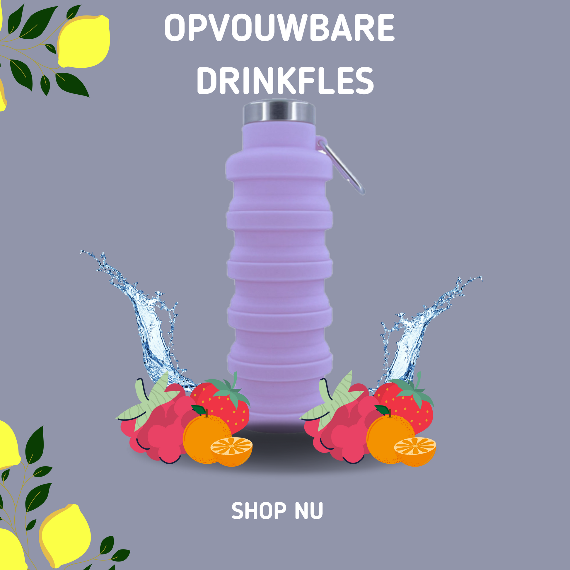 MOLOO-Opvouwbare-Drinkfles-Paars-Waterfles-500-ML-Sportfles-Bidon