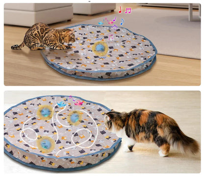 Kattenspeeltjes met bal en spoor – Rollercoaster effect