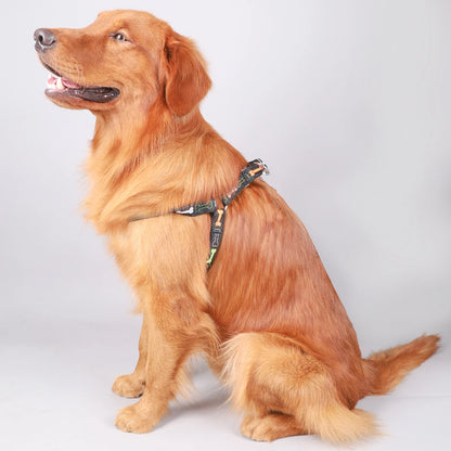 Action tuigje met brede banden – Voor sterke honden