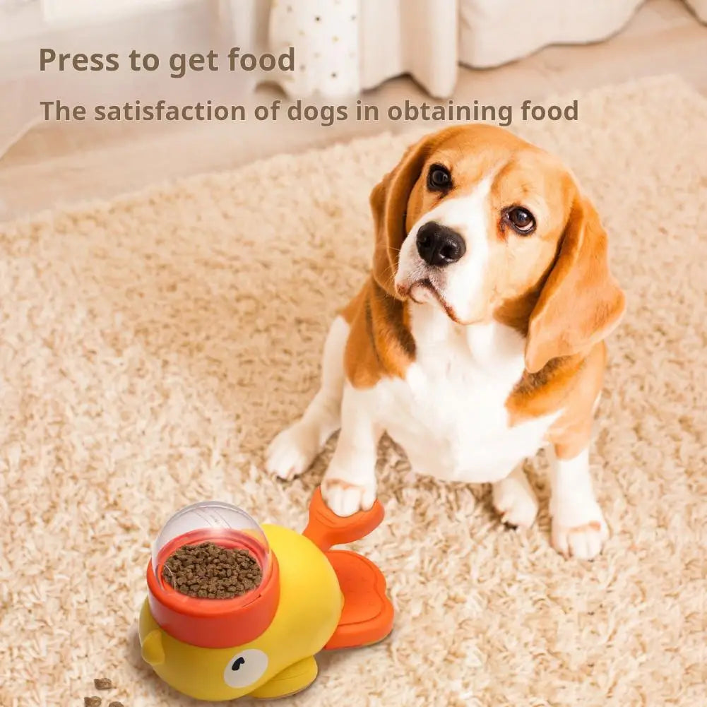 Cadeau hond verjaardag DIY – Creatief en leuk