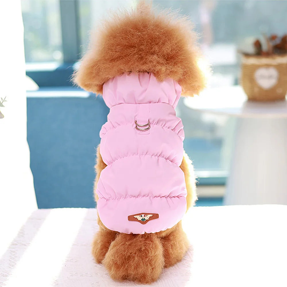 Cadeau voor hond met lekkers – Smullen gegarandeerd