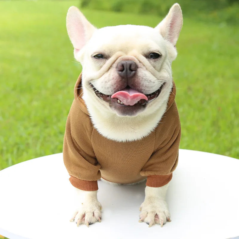 Traktatiebox hond cadeau – Verantwoord en lekker