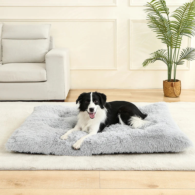 Cadeauset voor hond en eigenaar – Perfect duo pakket
