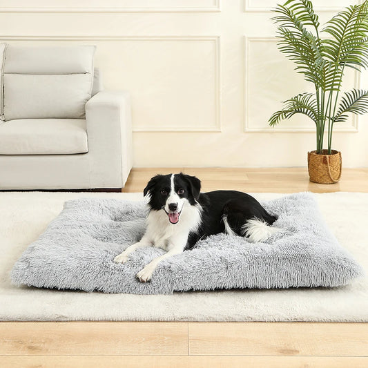 Cadeauset voor hond en eigenaar – Perfect duo pakket