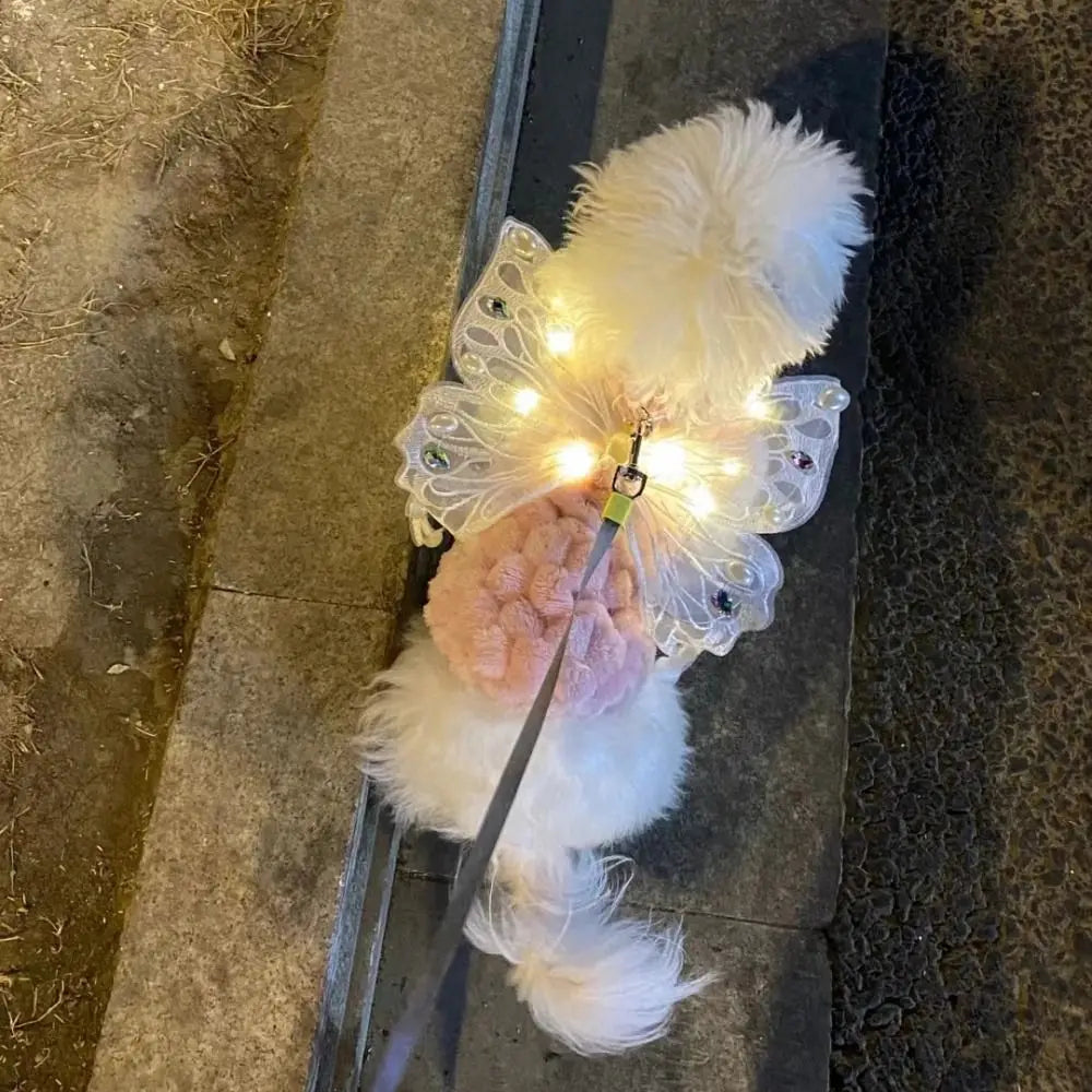 Tuigje hond met kliksluiting – Snel en veilig