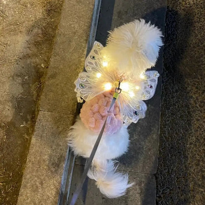 Tuigje hond met kliksluiting – Snel en veilig