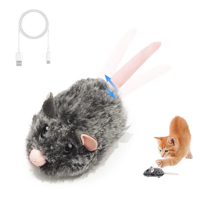 Leukste kattenspeeltjes met lichtgevende effecten – Voor nachtkatten