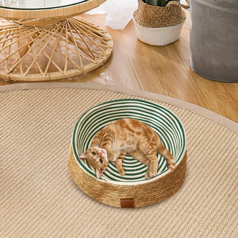Kattenmand van Action met leuke print – Betaalbare stijl