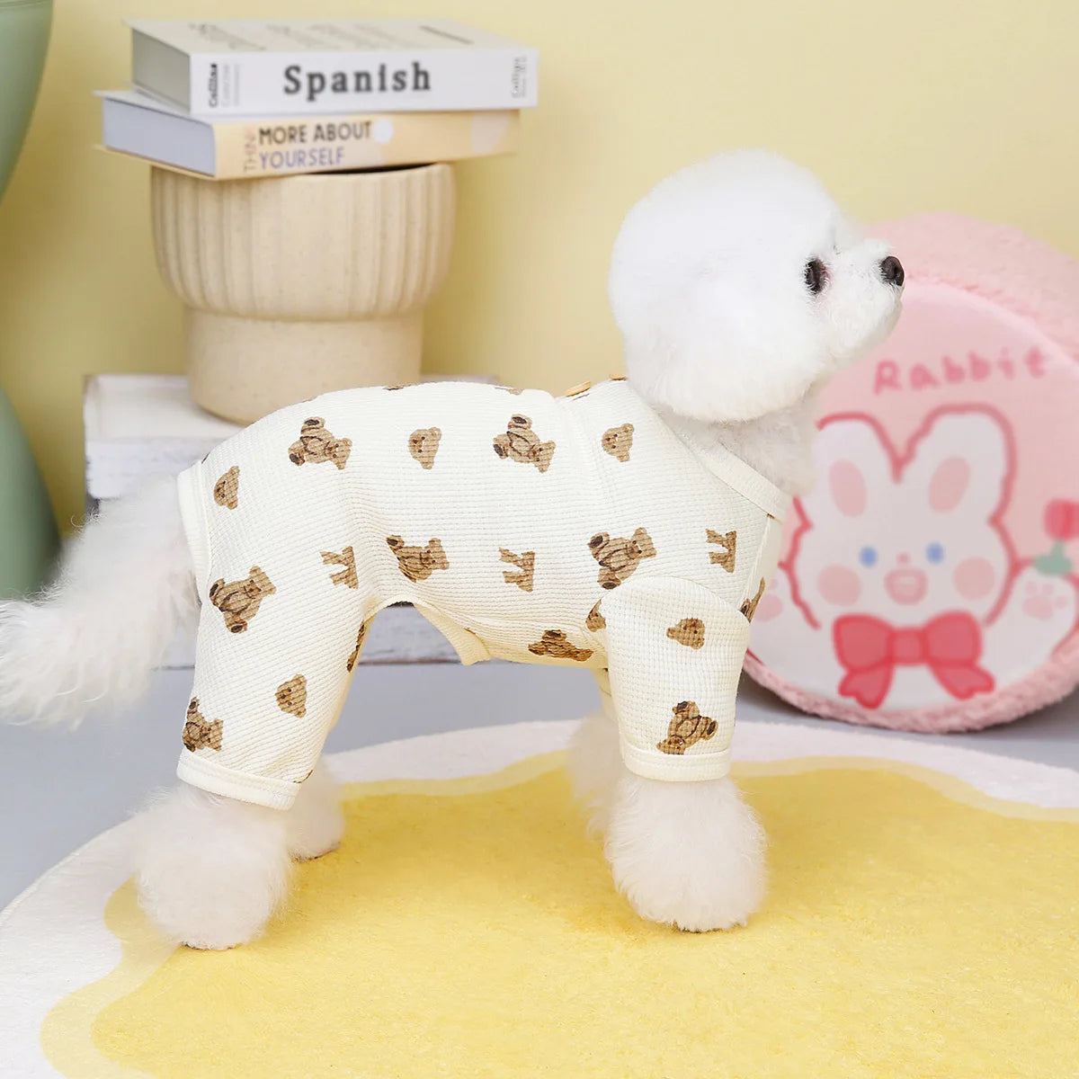 Origineel cadeau voor hond en baas – Praktisch en lief