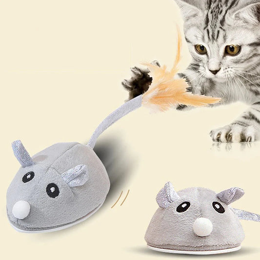 Kattenspeeltje met verenstaart – Voor eindeloos jagen