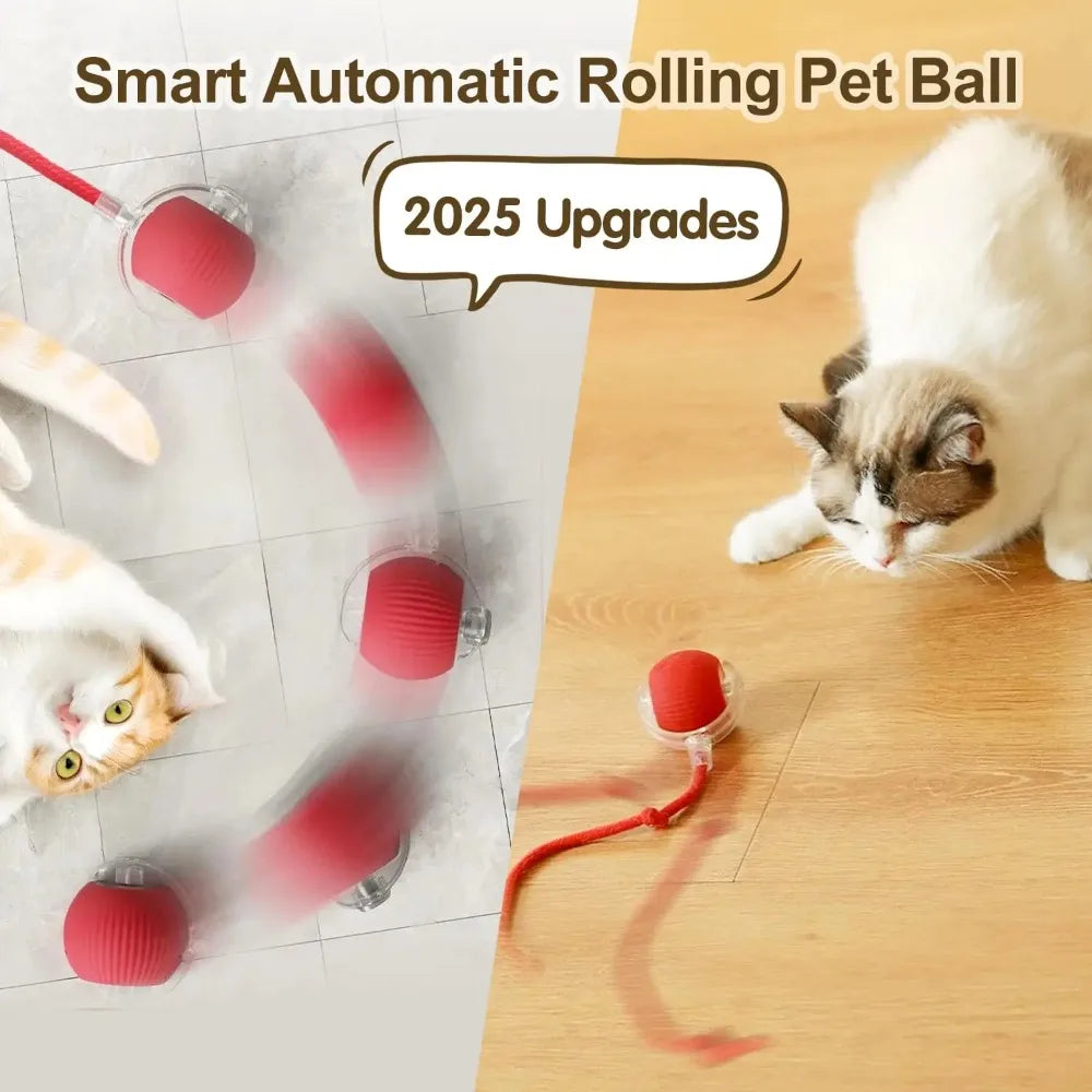 Kattenspeelgoed met automatische beweging – Speelt zelfstandig