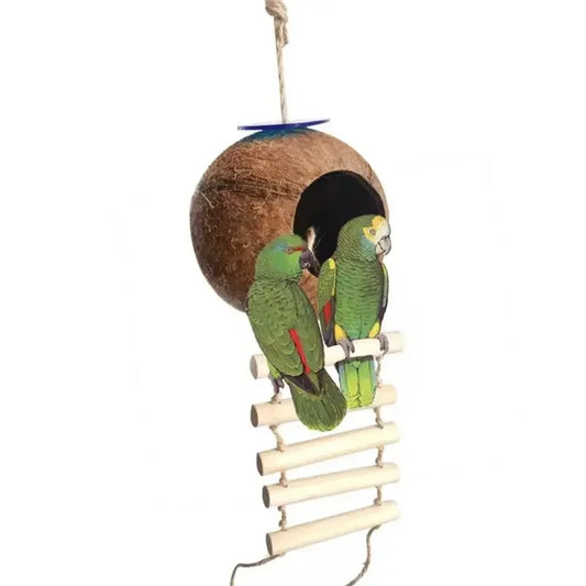 Intratuin vogelhuisje met platte bodem – Eenvoudig te monteren