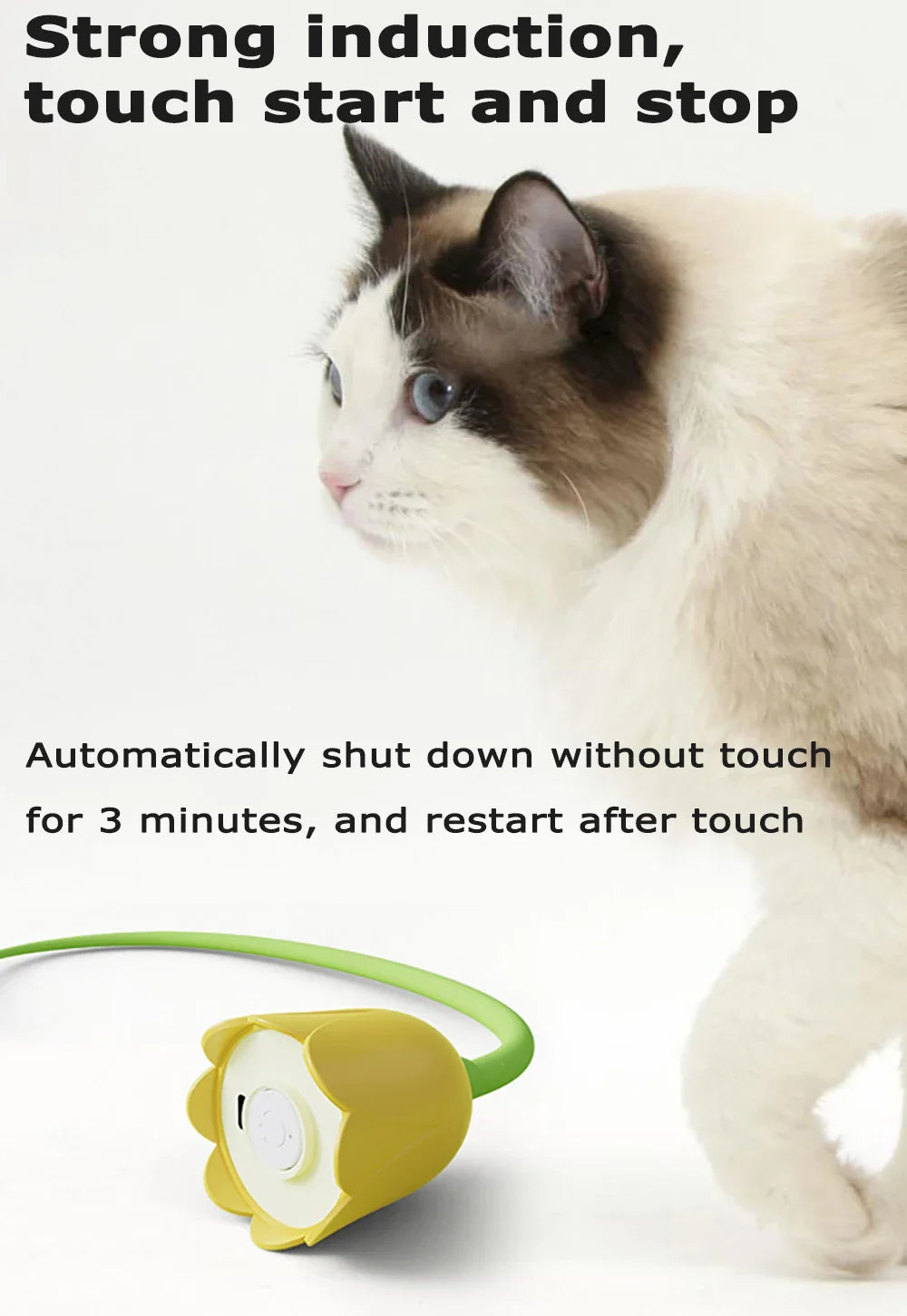 Katten speeltjes met catnip en veer – Dubbel plezier