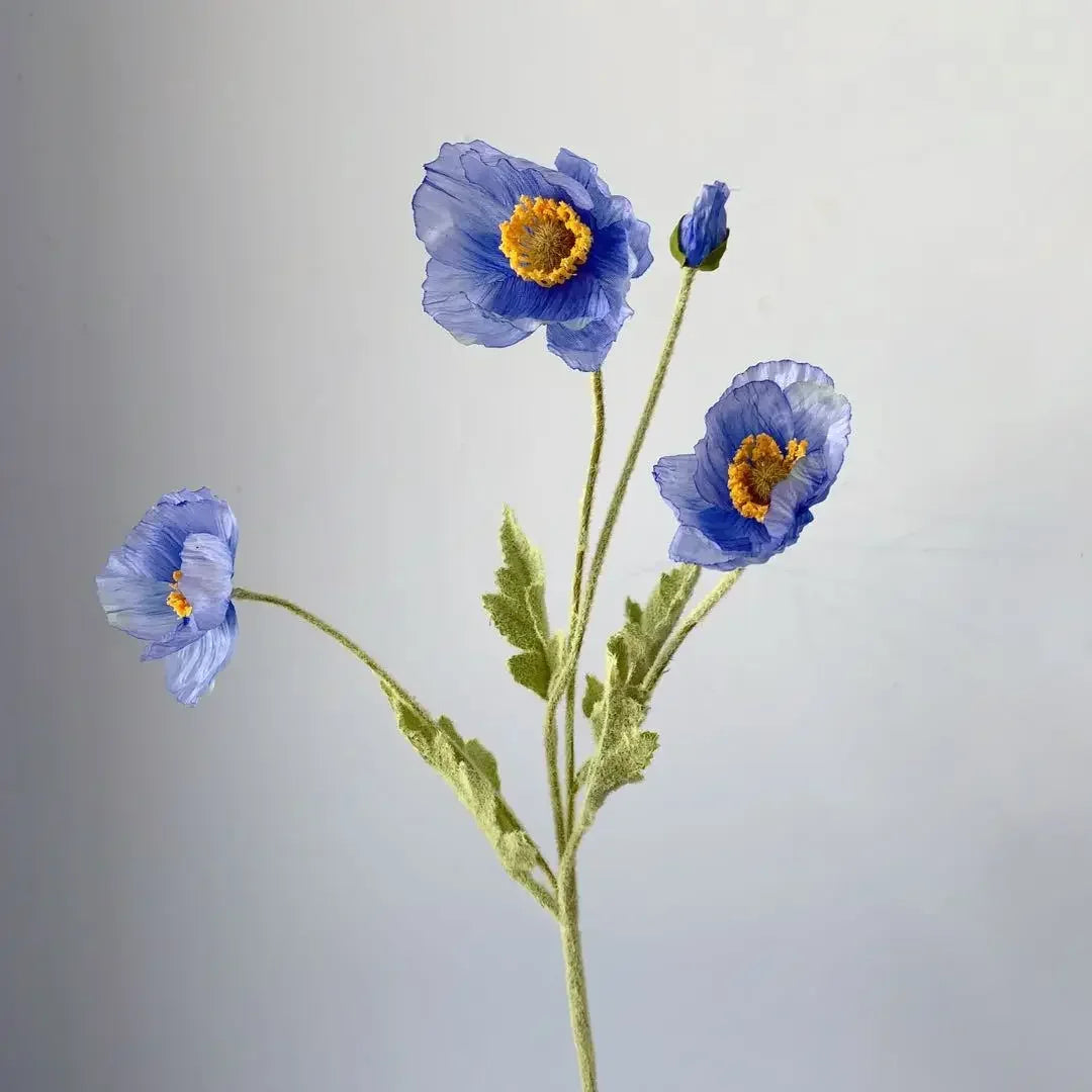 Xenos deco voor sfeervolle tuintafel