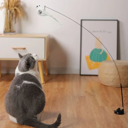 Actieve kattenspeeltjes – Voor speelse katten