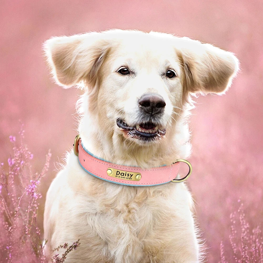 Cadeau hond puppy verjaardag – Zacht, veilig en leuk