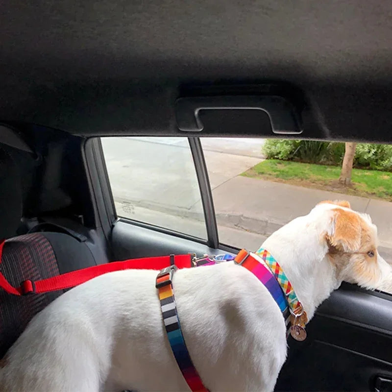Action honden tuigje – Lichtgewicht en voordelig