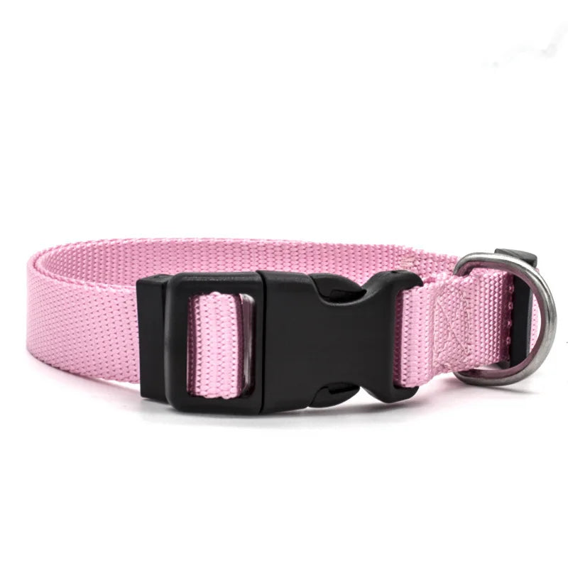Cadeau hond gepersonaliseerd – Met liefde gekozen