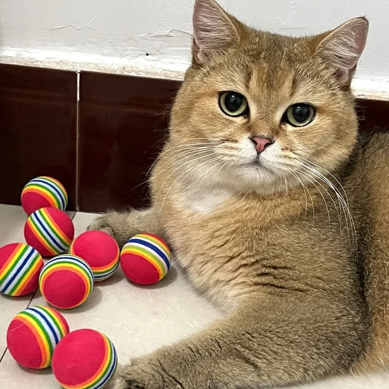 Katten speeltje in visvorm – Realistische look