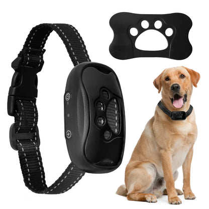 Verjaardag cadeau voor hond baas duo – Samen verwend