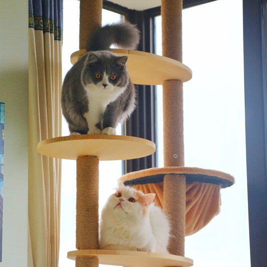 Grote kattenpaal – Voor klimmen, krabben en relaxen