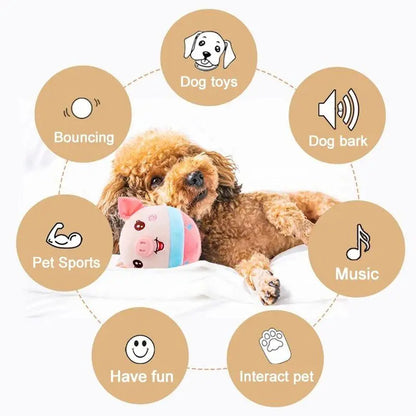 Samen cadeau voor hond en eigenaar – Duo verwenpakket
