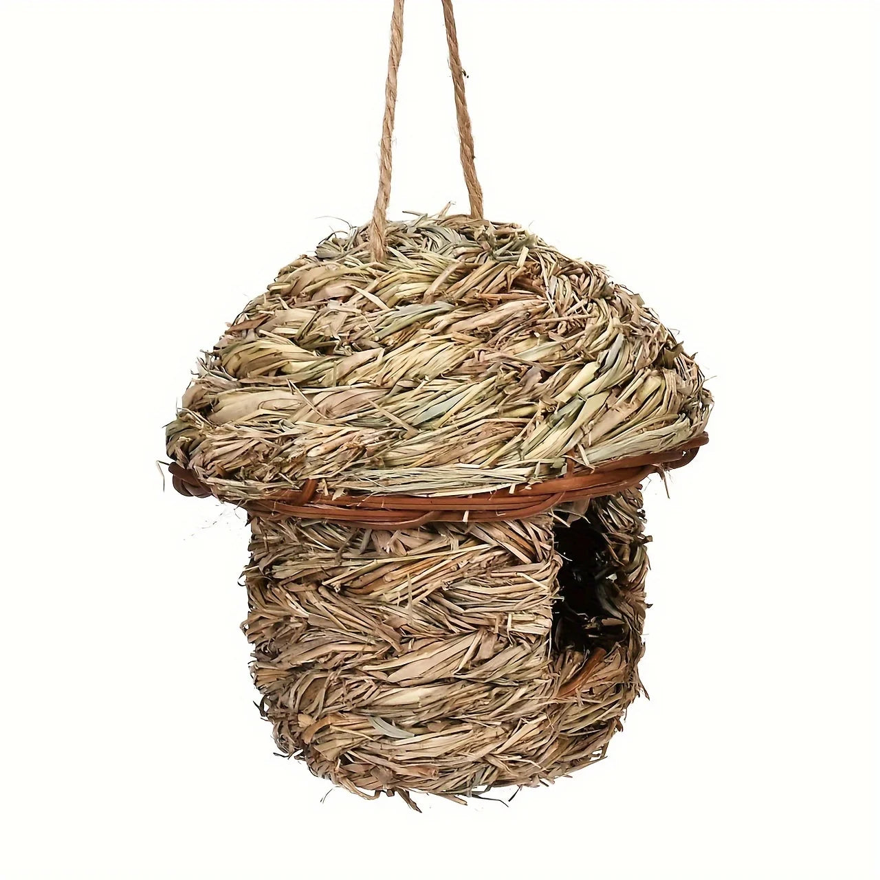 Vogelhuisje Action goedkoop – Goede prijs-kwaliteit