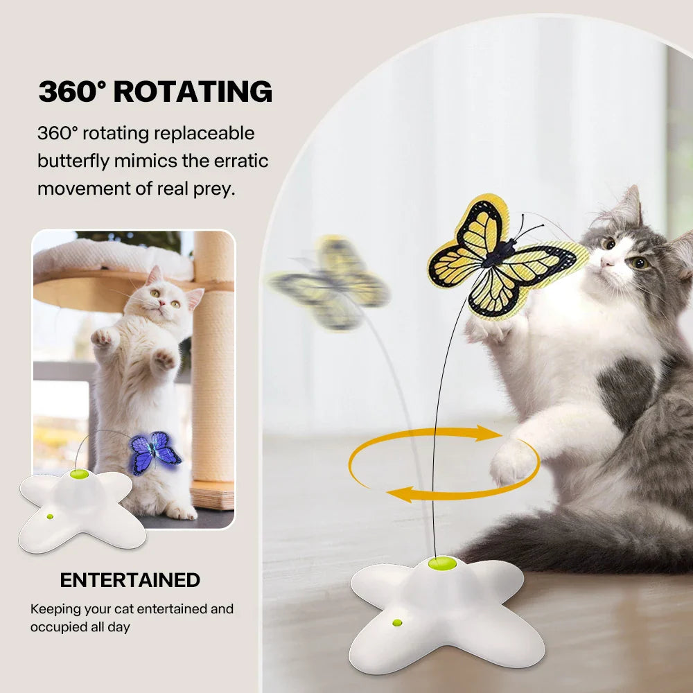 Actief kattenspeeltje met ratelend geluid – Altijd interessant